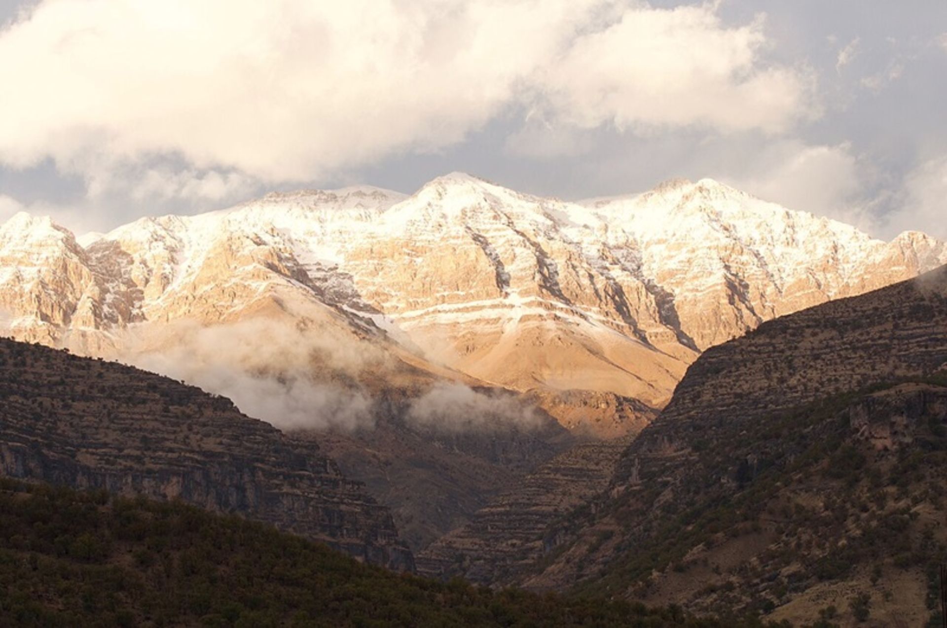 زرکوه بختیاری