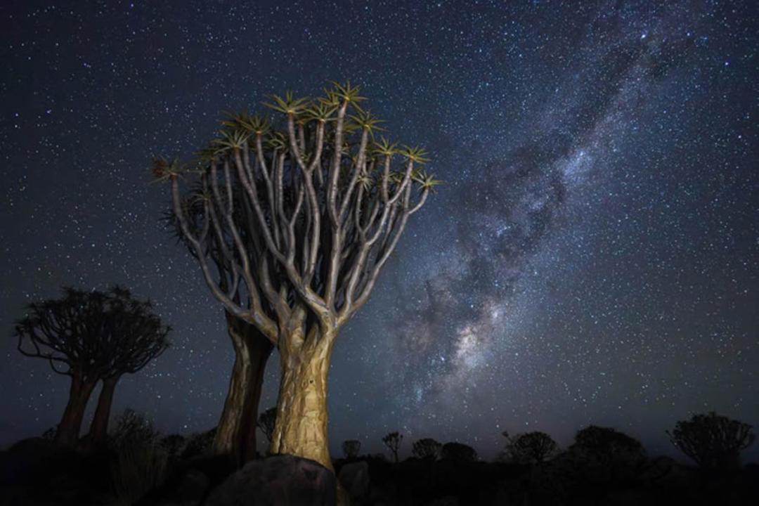 شب پر ستاره بریتانیا