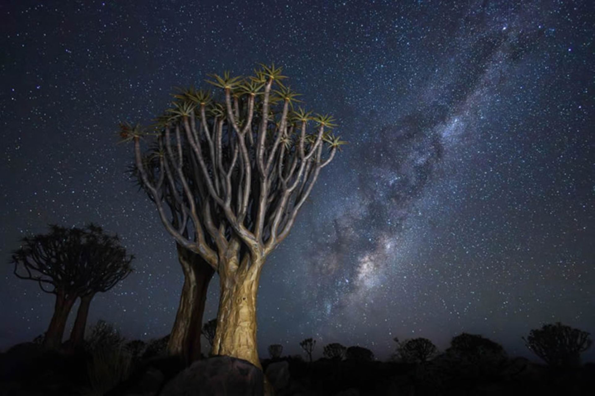 شب پر ستاره بریتانیا