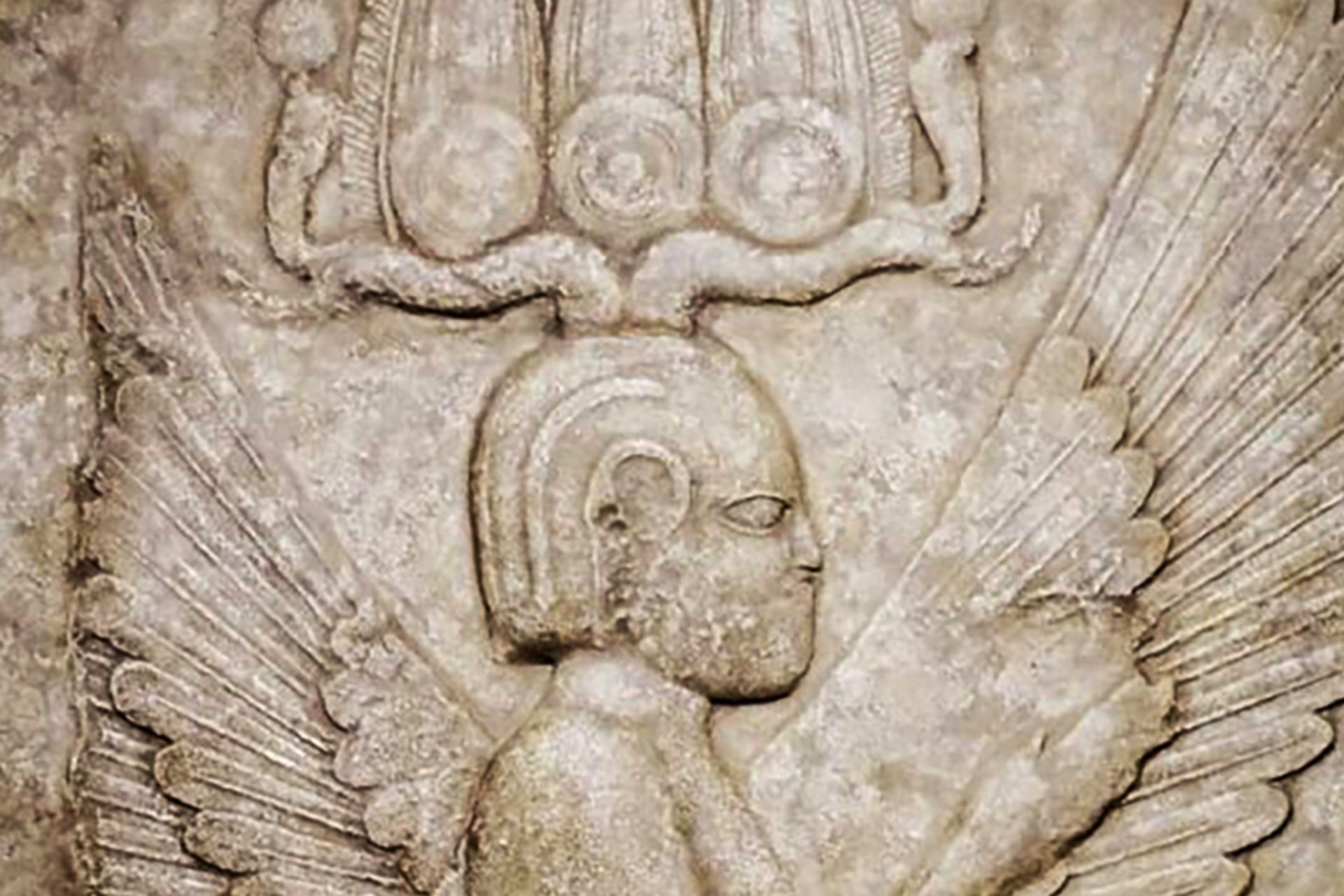 انسان بالدار