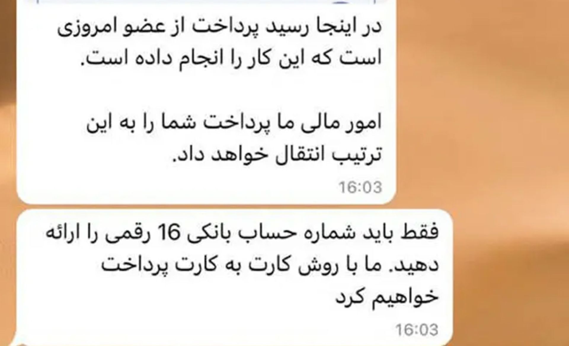فیشینگ گردشگری