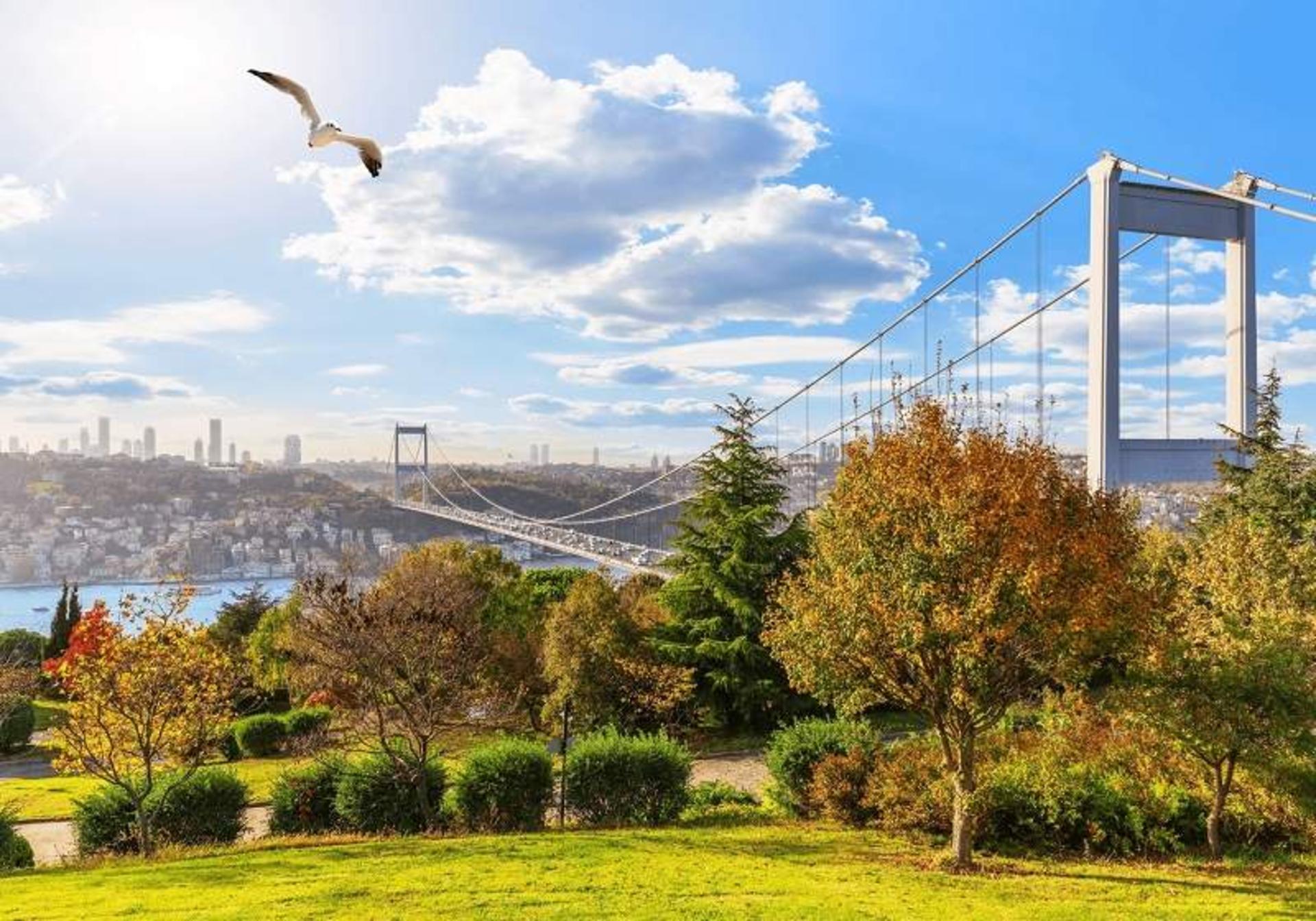 پل معروف استانبول ترکیه در پاییز؛ منبع عکس: وب سایت Royal White Property. عکاس: نامشخص