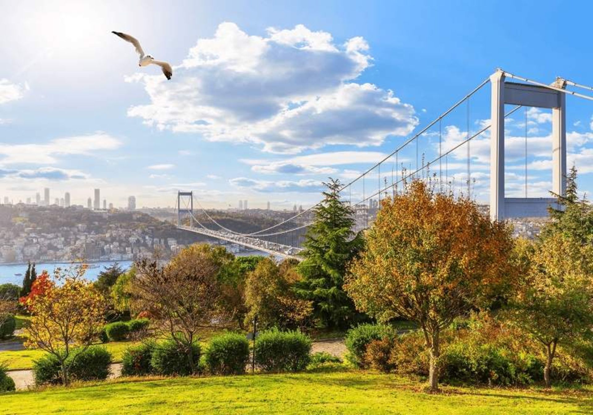 پل معروف استانبول ترکیه در پاییز؛ منبع عکس: وب سایت Royal White Property. عکاس: نامشخص