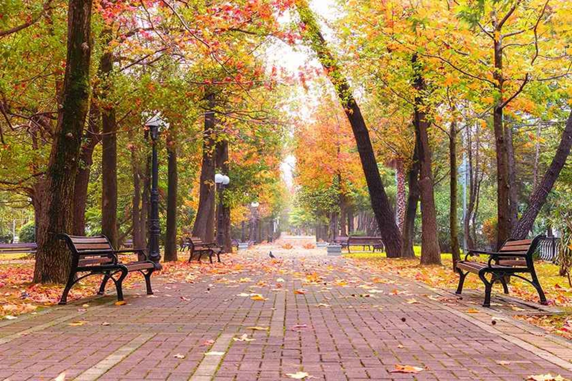 پاییز در تهران، منبع عکس: paytakhttour، عکاس: نامشخص