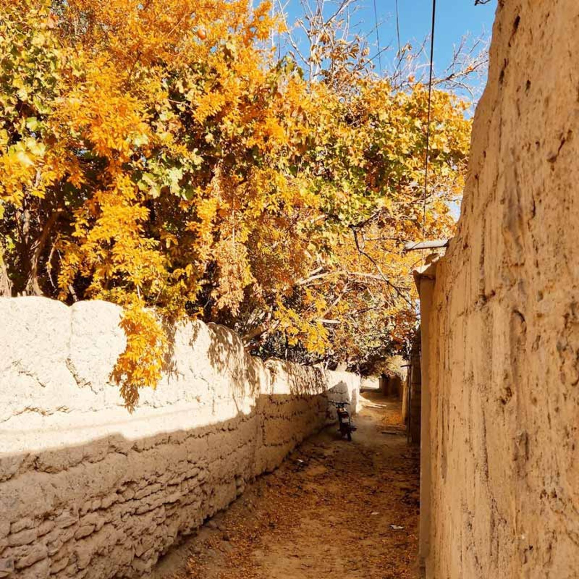 کوچه روستای سیرچ کرمان در پاییز؛ منبع عکس: Google Maps، عکاس: M.Hossein Nejhad Jomeh
