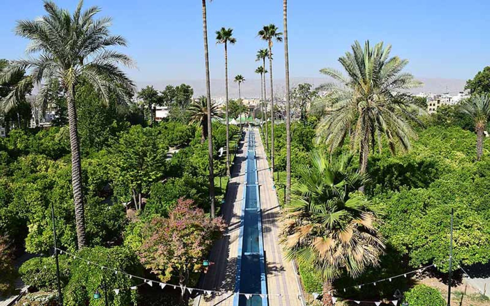 درختان باغ دلگشا، منبع عکس: ویکی مدیا، عکاس: 	SHH21602