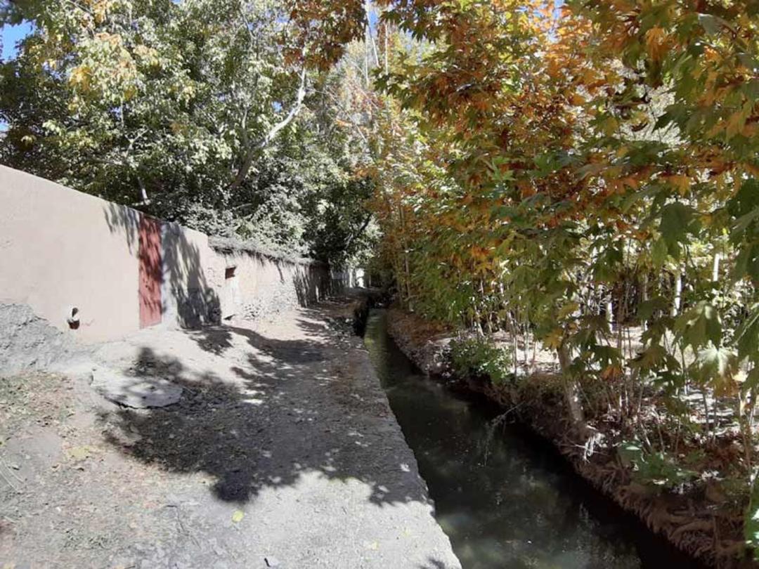 نهر و درختان روستای چم علیشاه اصفهان؛ منبع عکس: Google Maps، عکاس: 