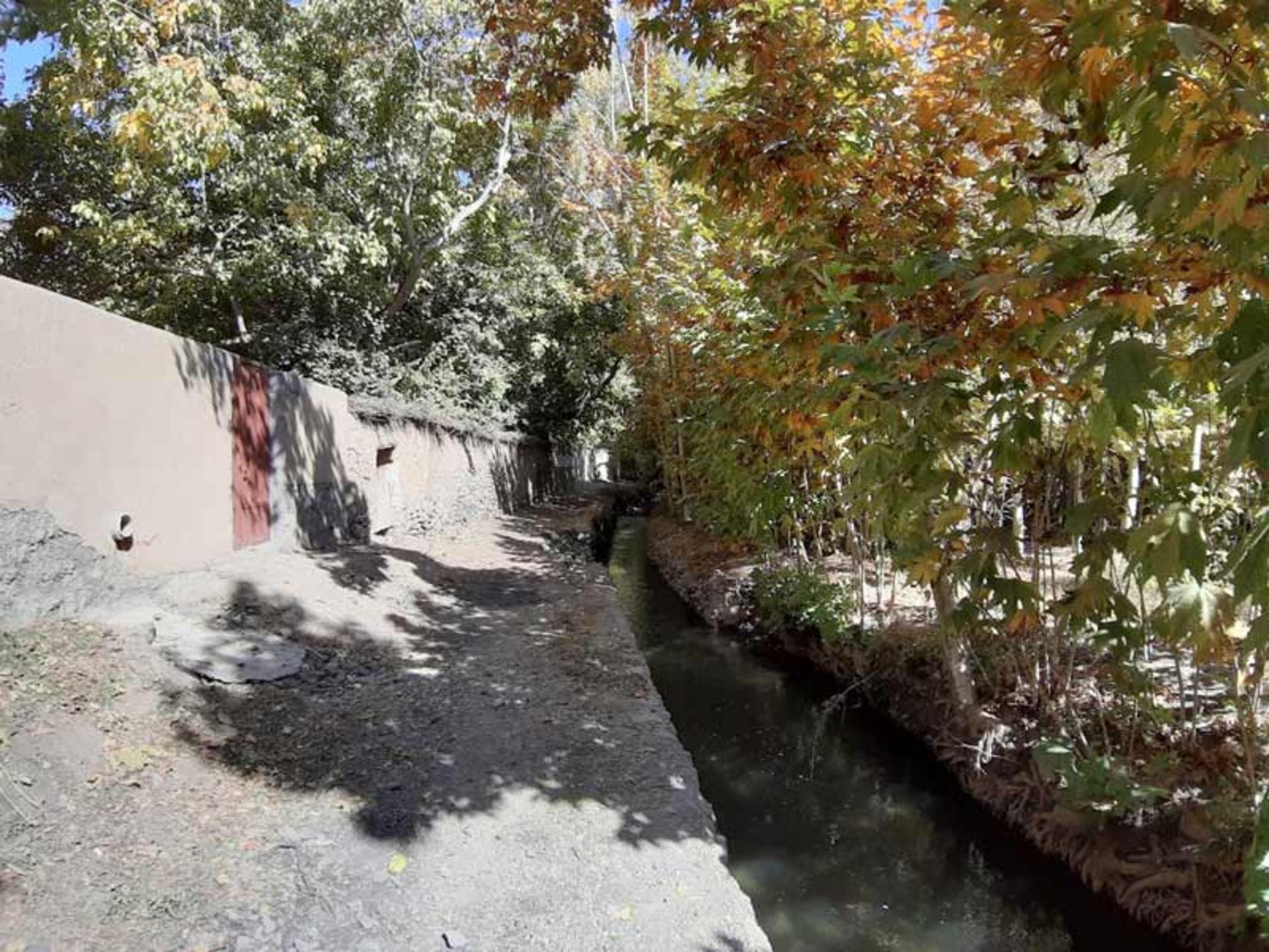 نهر و درختان روستای چم علیشاه اصفهان؛ منبع عکس: Google Maps، عکاس: 