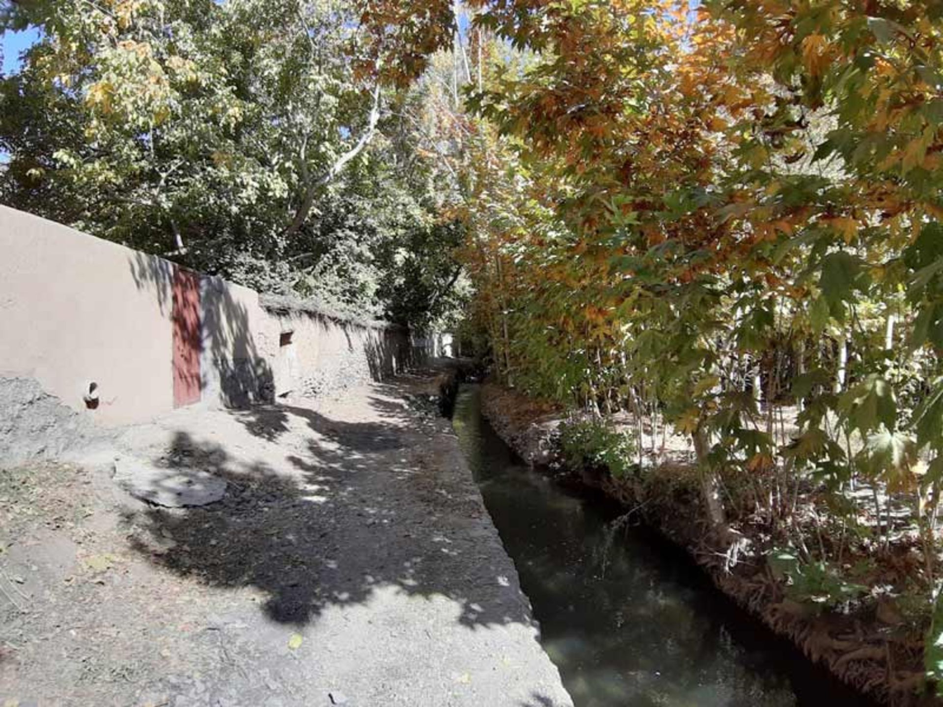 نهر و درختان روستای چم علیشاه اصفهان؛ منبع عکس: Google Maps، عکاس: 