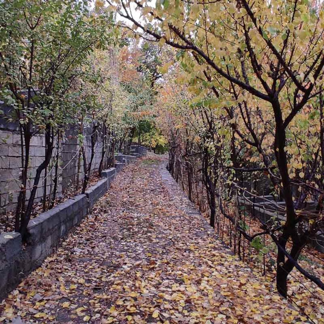 کوچه باغ پاییزی روستای نسمه کرمانشاه؛ منبع عکس: Google Maps، عکاس: Yousef Amirian