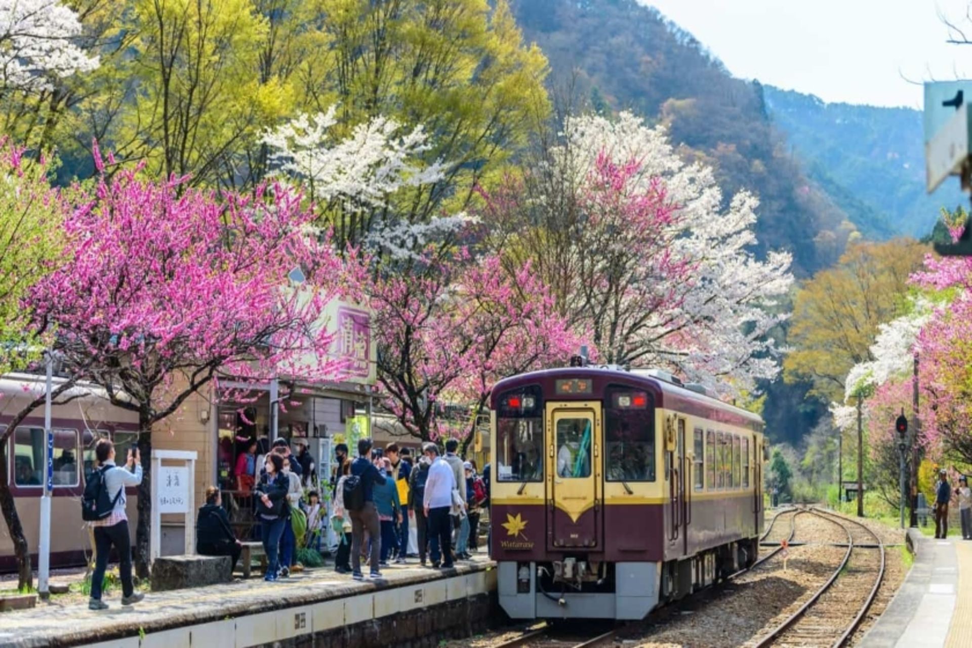 سفر در ژاپن با قطارهای محلی؛ منبع عکس: nomadicmatt.com. عکاس: نامشخص