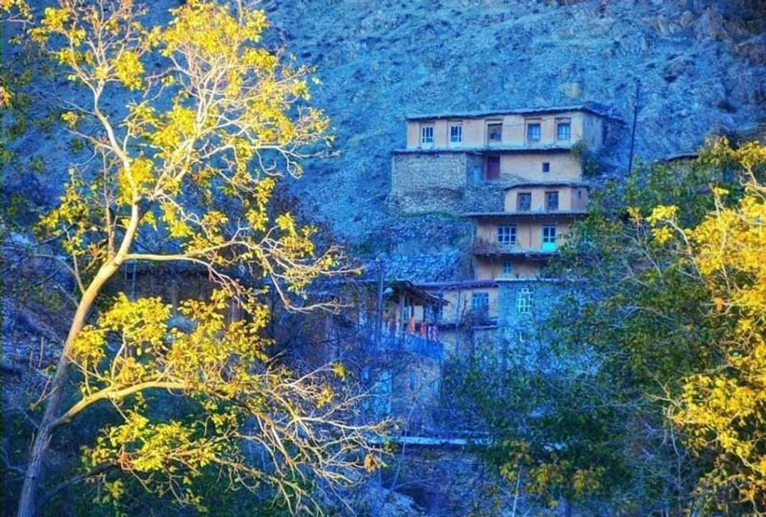 درختان و خانه های روستای توریور کردستان؛ منبع عکس: Google Maps، عکاس: Maziar Mimanam