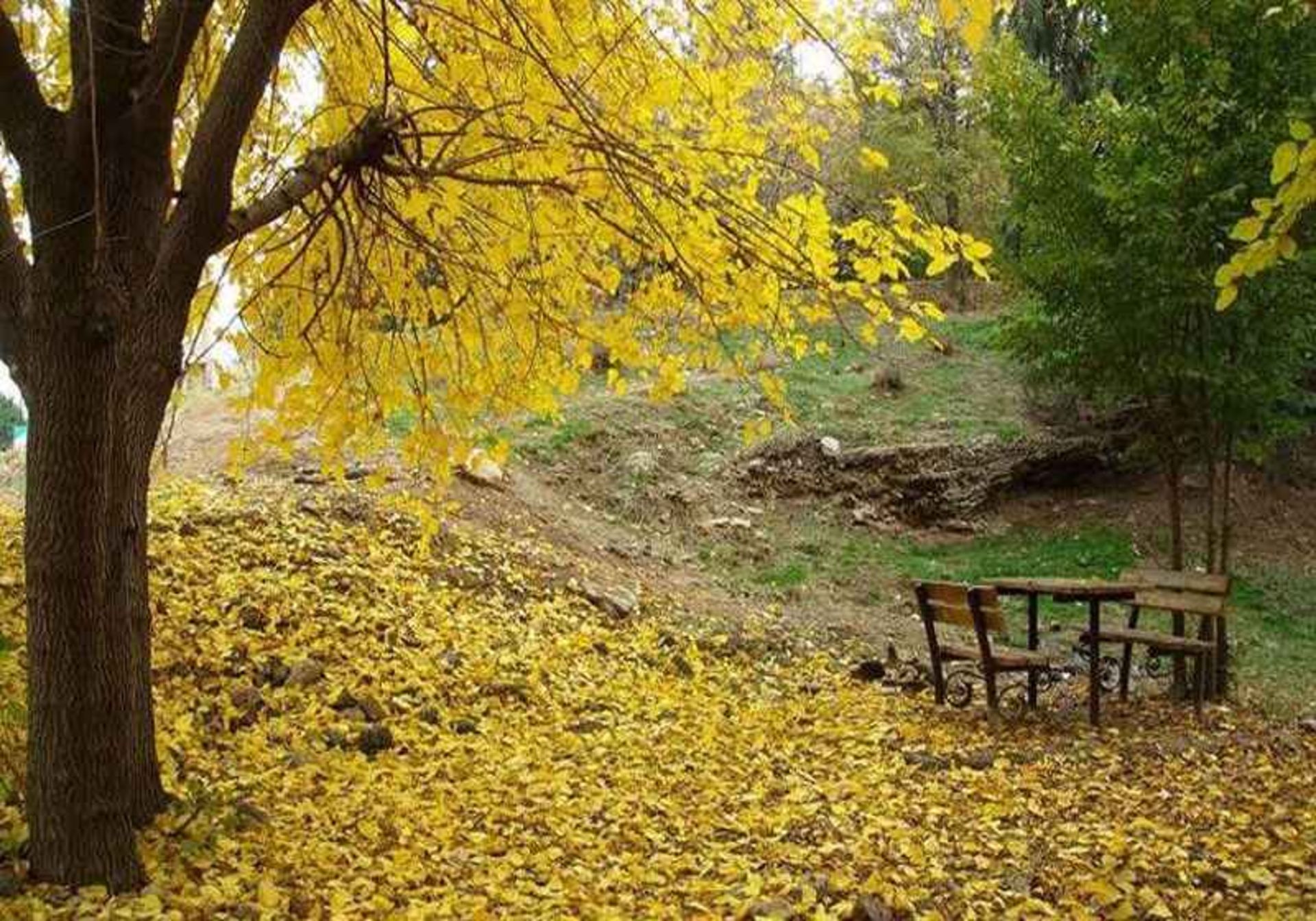 پارک سرخه حصار. منبع عکس: گوگل مپ، عکاس:Ali kashani zadeh