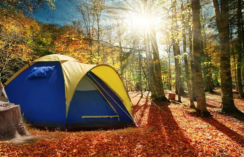 اقامت در جنگل پاییزی، منبع عکس: backroadramblers، عکاس: نامشخص