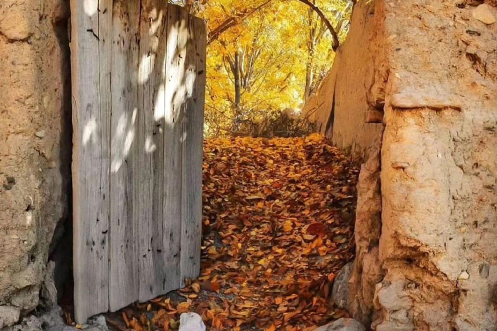 برگ ریزان پاییز در روستای خوانسار؛ منبع عکس: Iraniantravels، عکاس: Alireza Moghimi