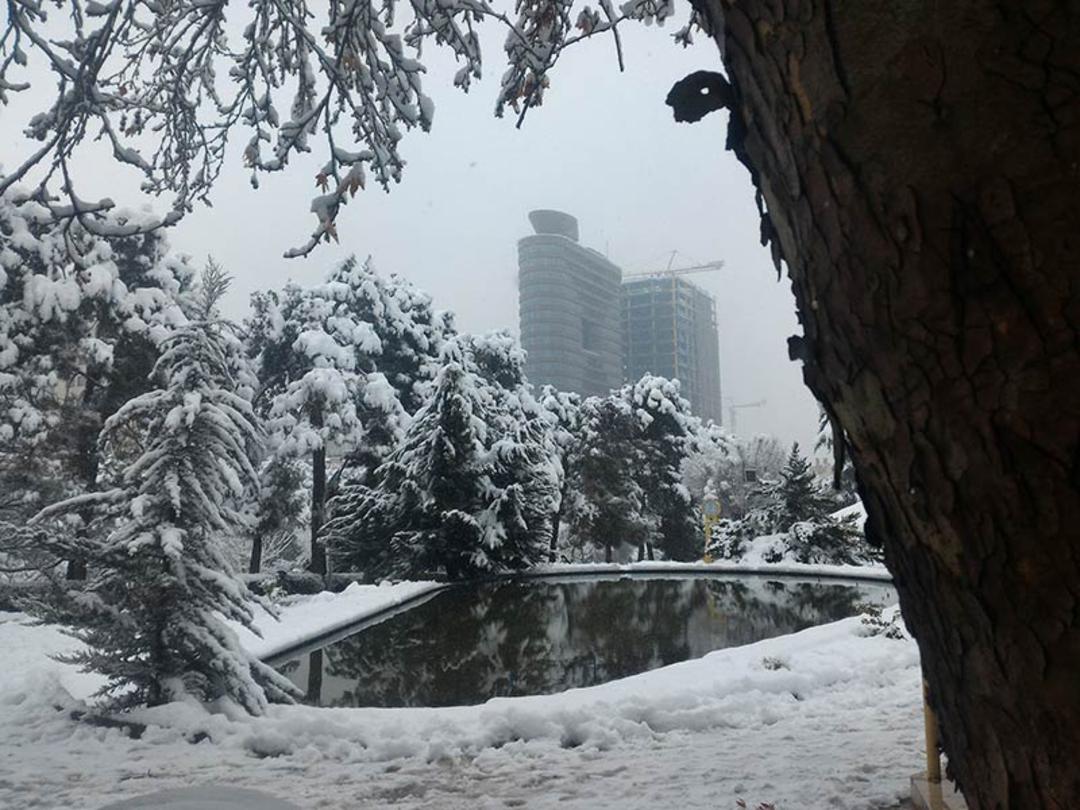 برف زمستانی در پارک ساعی؛ منبع عکس: گوگل مپ؛ عکاس: امیرعباس فرخ زاده
