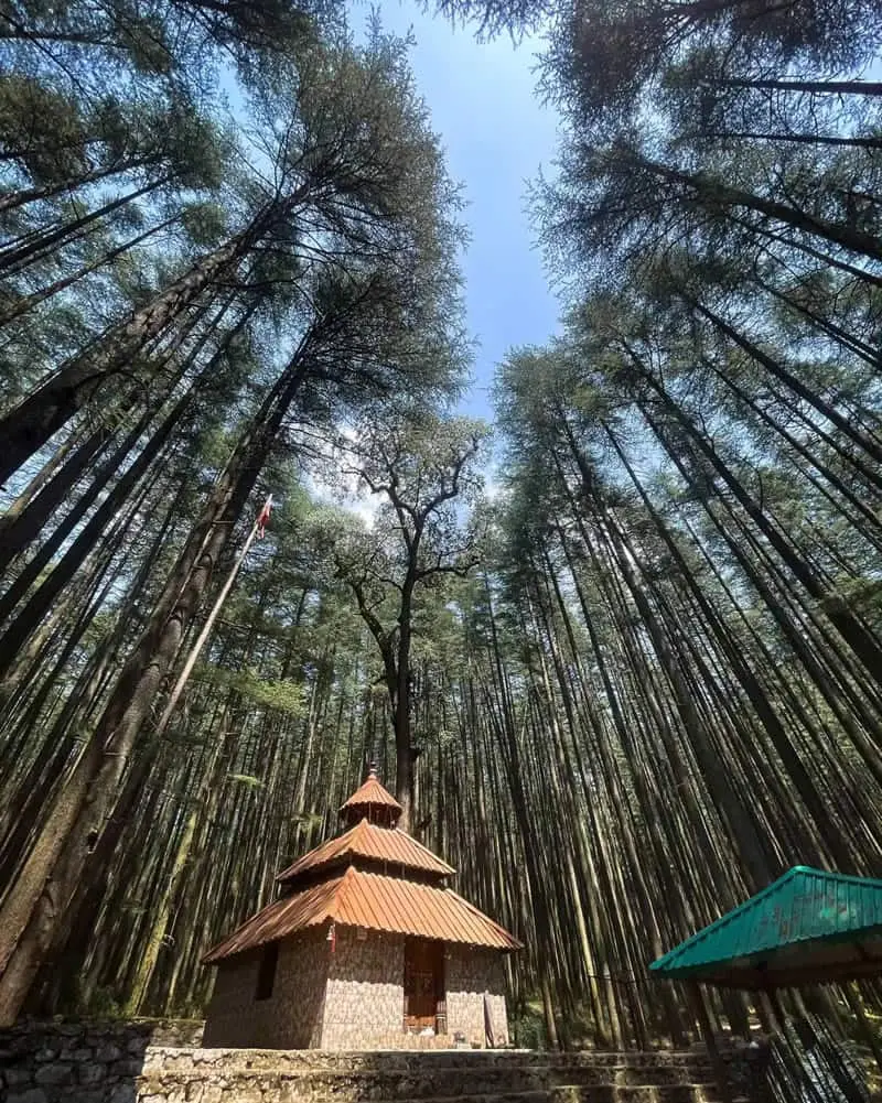 منطقه موسوری (Mussoorie) هند 