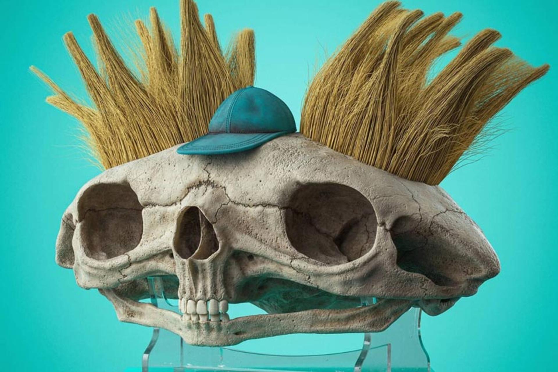 جمجمه‌ای با الهام از کاراکتر آرنولد در انیمیشن (Hey Arnold)؛ منبع عکس: visualflood.com؛ عکاس: نامشخص