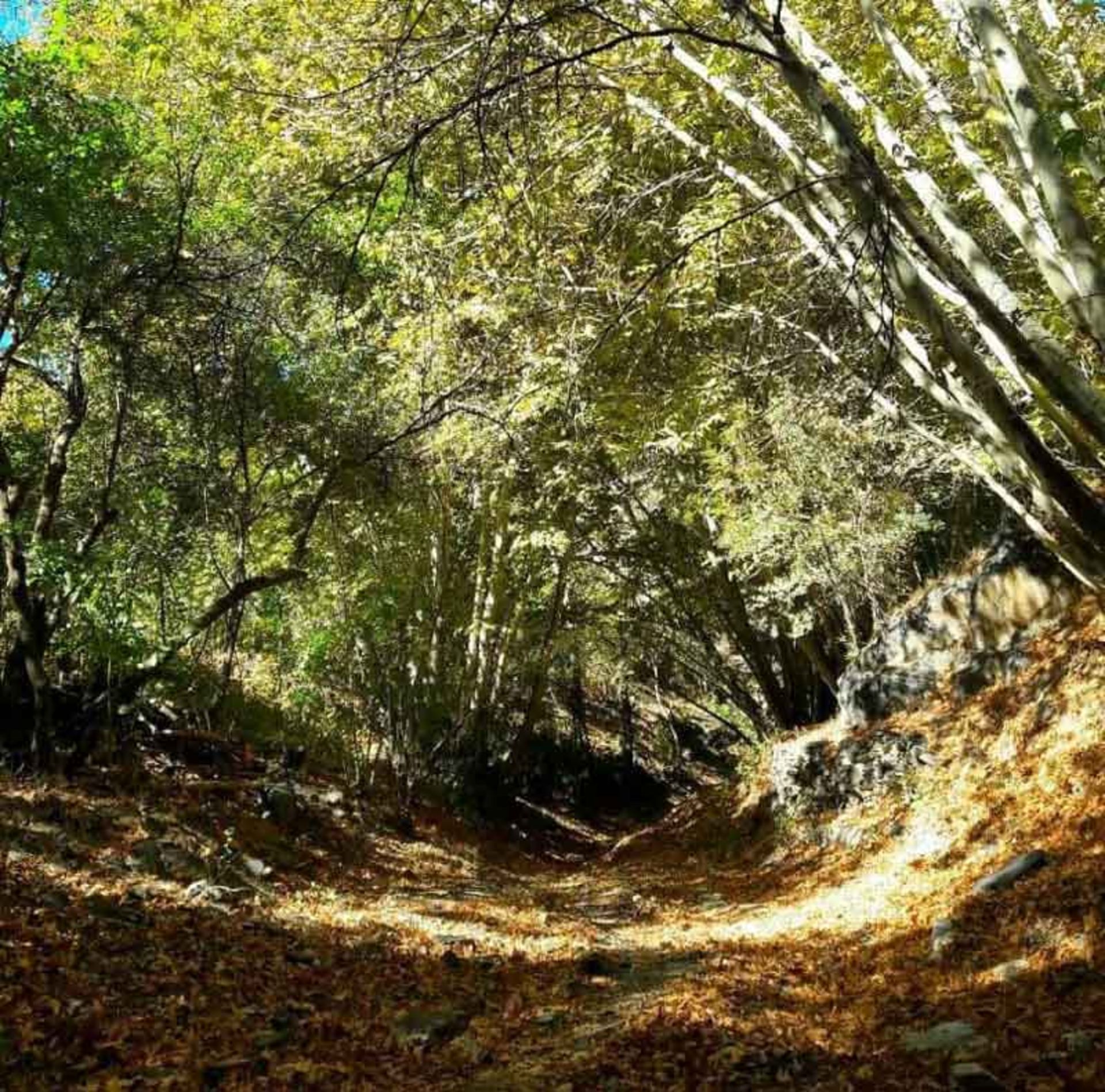 گذر پاییزی در روستای اردمه مشهد؛ منبع عکس: 