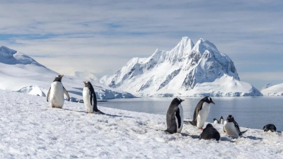 قطب جنوب؛ منبع عکس: سایت swoop-antarctica.com. عکاس: نامشخص