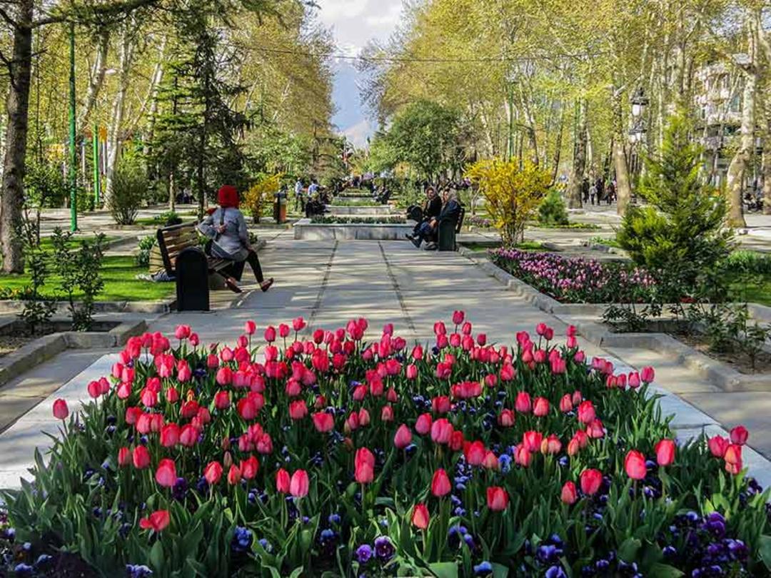 گل های پارک ملت تهران؛ منبع عکس: گوگل مپ؛ عکاس: محمد اردهی