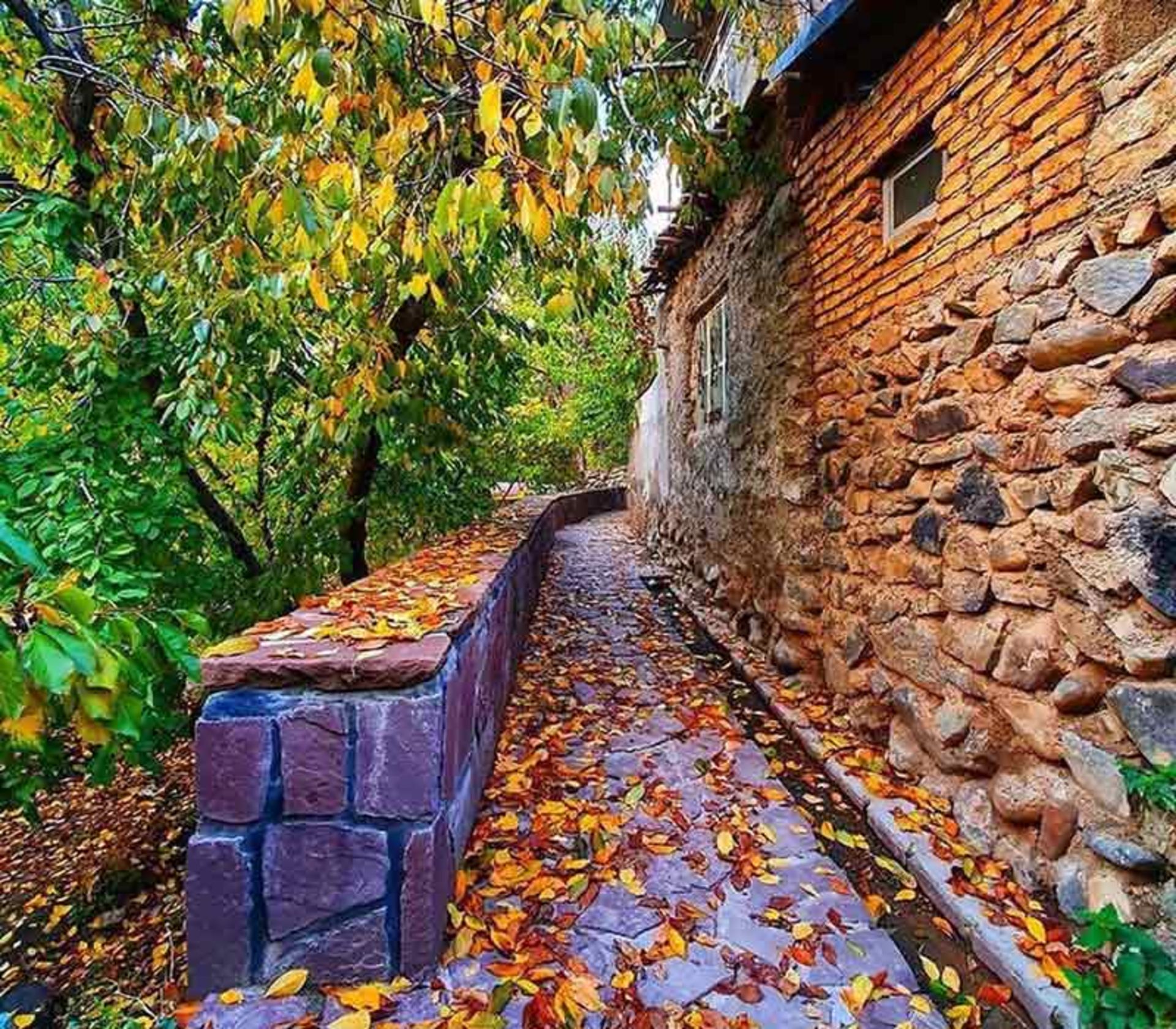 فصل پاییز در روستای سنگان تهران؛ منبع عکس: tehran.gardan، عکاس: sepehrhjoo