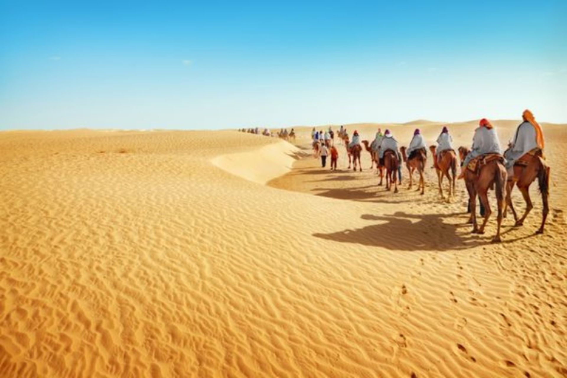 سافاری در بیابان وادی؛ منبع عکس: سایت 