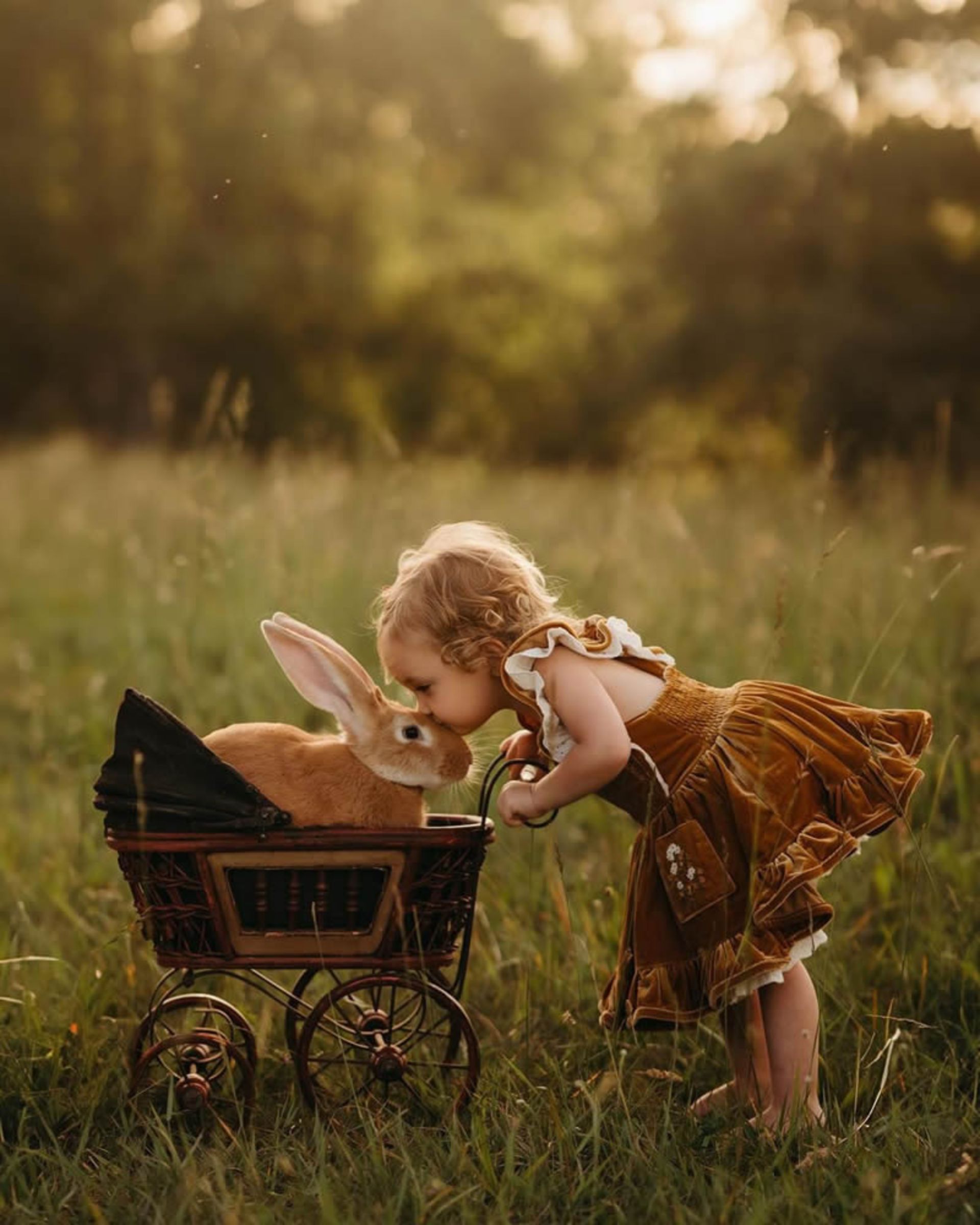 بازی کودکی با خرگوش