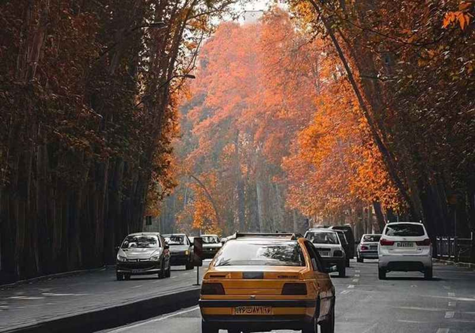 خیابان ولیعصر تهران.منبع عکس: ویکی مدیا، عکاس: biotehran