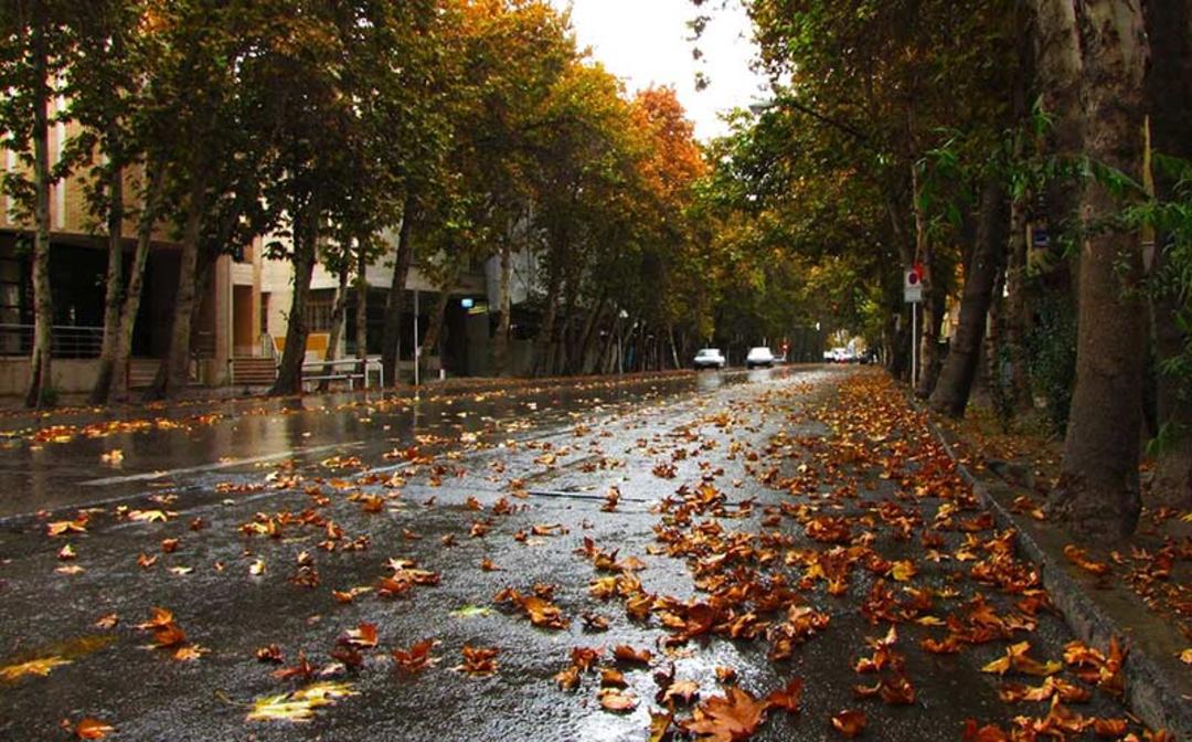 خیابان ولیعصر تهران در پاییز؛ منبع عکس: گوگل مپ؛ عکاس:  Manok Paniri