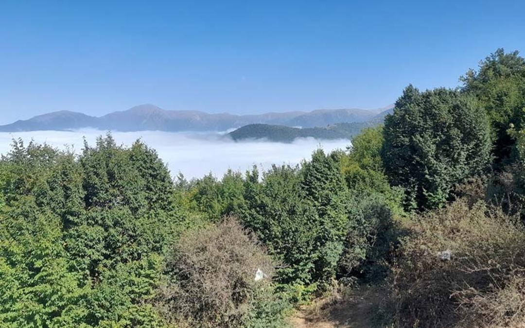 اقیانوس ابر در جنگل توسکستان