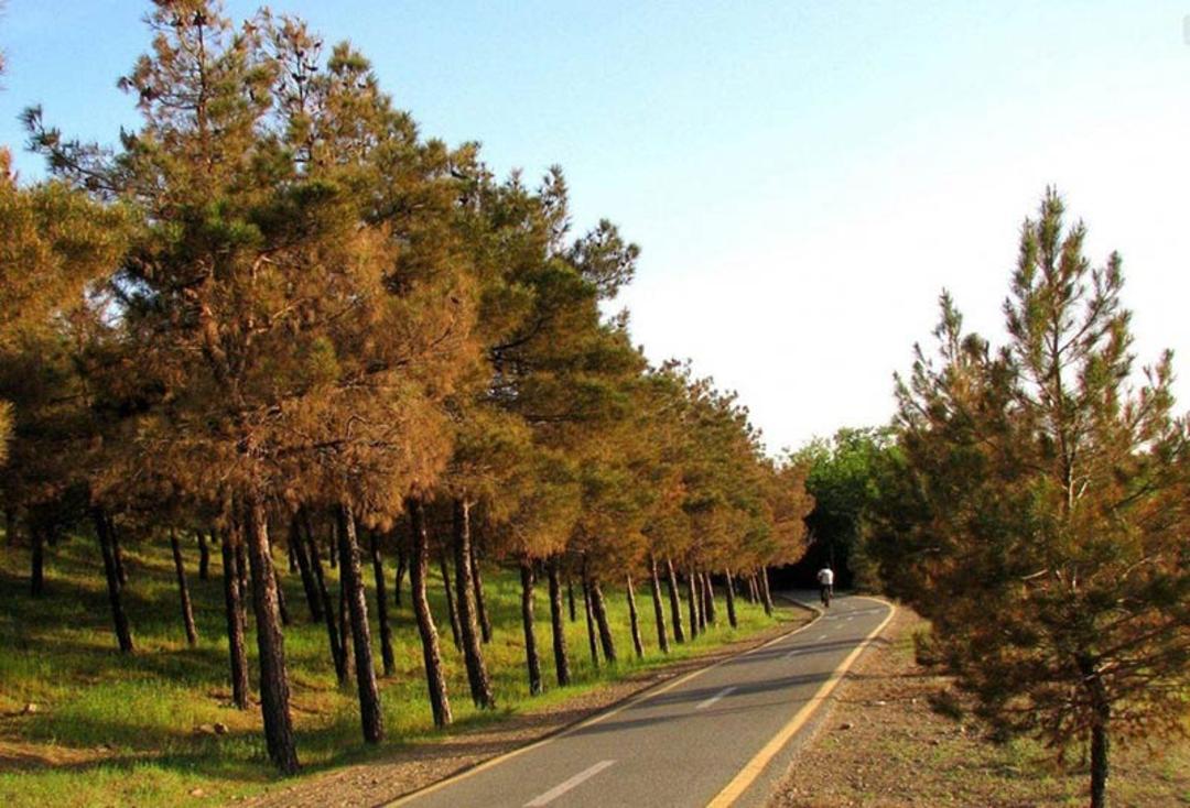 مسیر پیاده روی و دوچرخه سواری پارک جنگلی سوهانک؛ منبع عکس: marcocial.com؛ عکاس: نامشخص