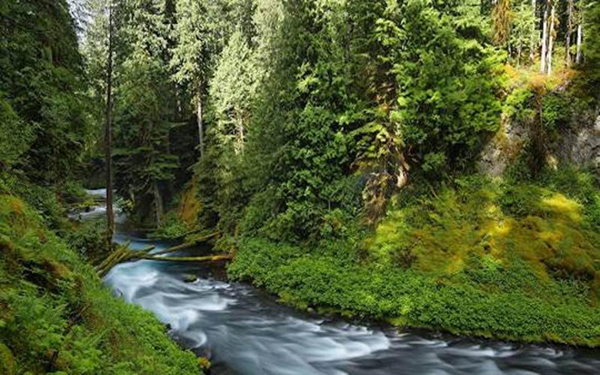 رودخانه مکنزی، منبع عکس: oregonisforadventure، عکاس: نامشخص