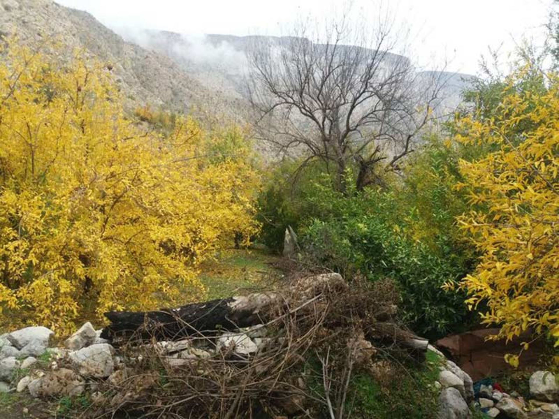 باغ و درختان پاییزی روستای مارین گچساران؛ منبع عکس: 