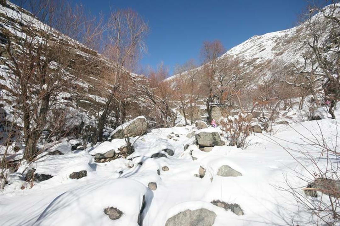 بارش برف در دشت های روستای سنگان؛ منبع عکس: گوگل مپ؛ عکاس: The Fero