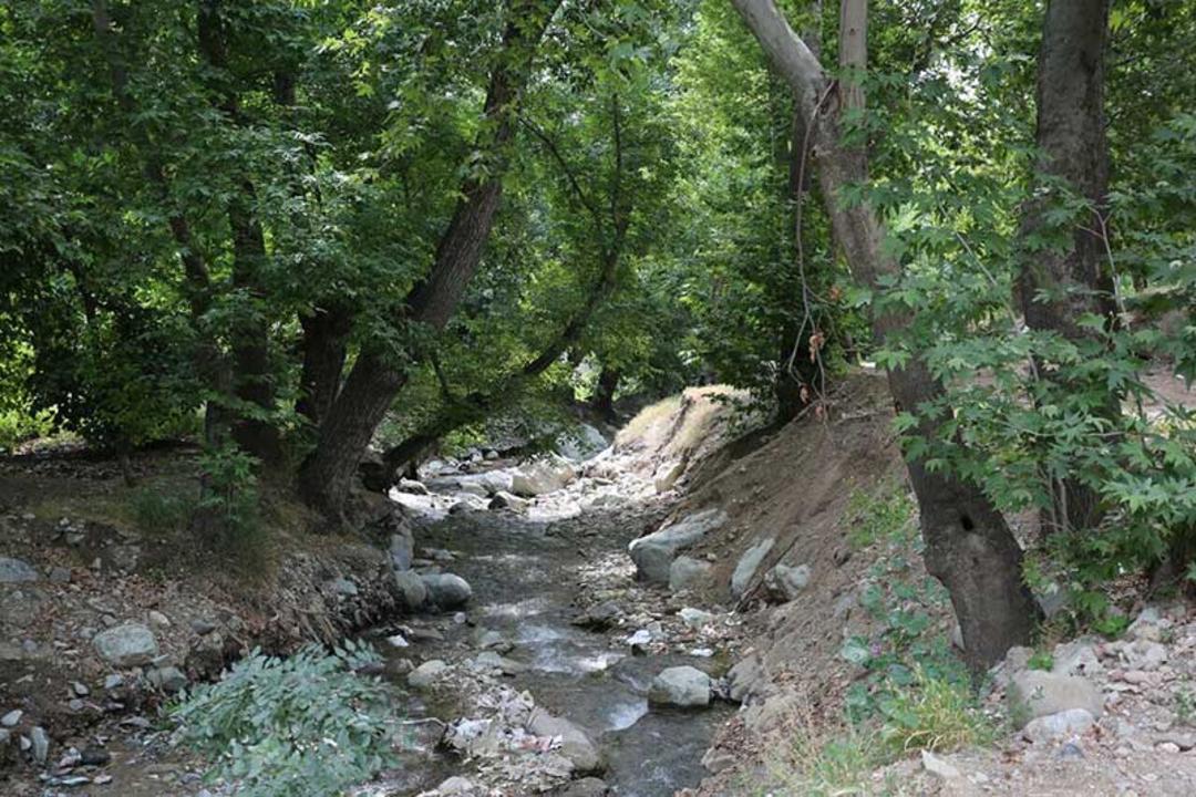 طبیعت دره فرحزاد تهران؛ منبع عکس: khuoshe.ir؛ عکاس: نامشخص