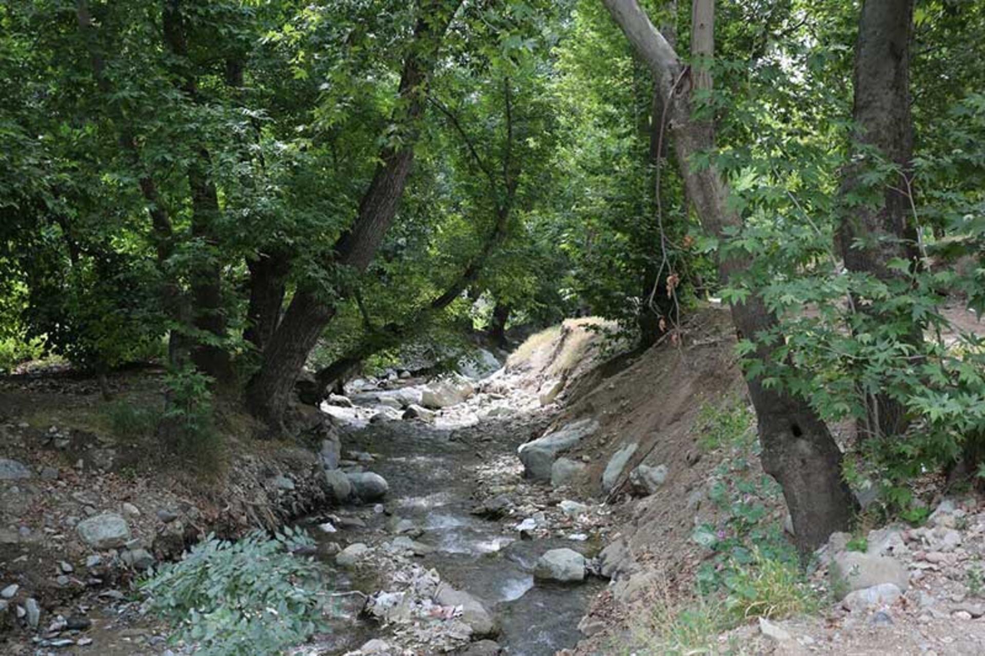 طبیعت دره فرحزاد تهران؛ منبع عکس: khuoshe.ir؛ عکاس: نامشخص