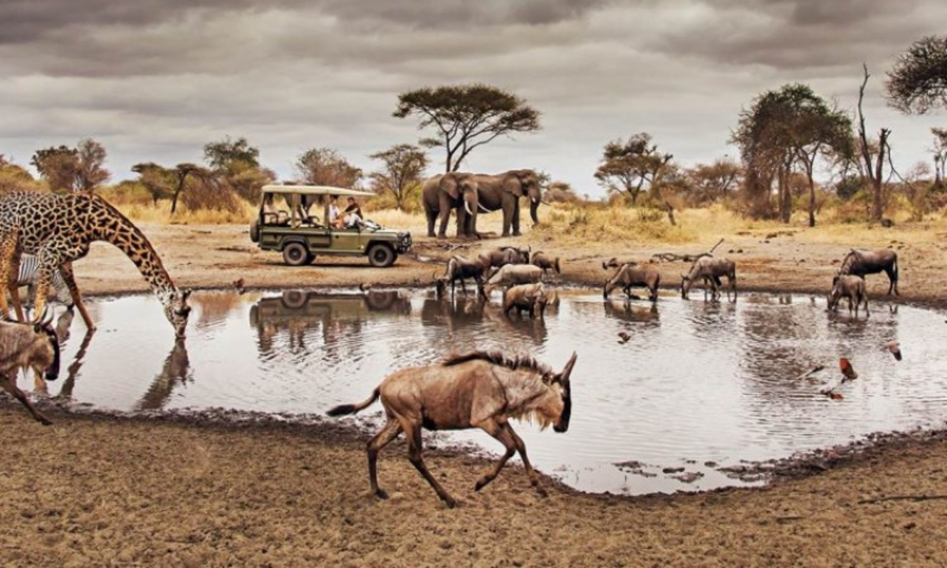 پارک ملی سرنگتی در تانزانیا؛ منبع عکس: سایت serengetiparktanzania.com. پدید آورنده: هوش مصنوعی