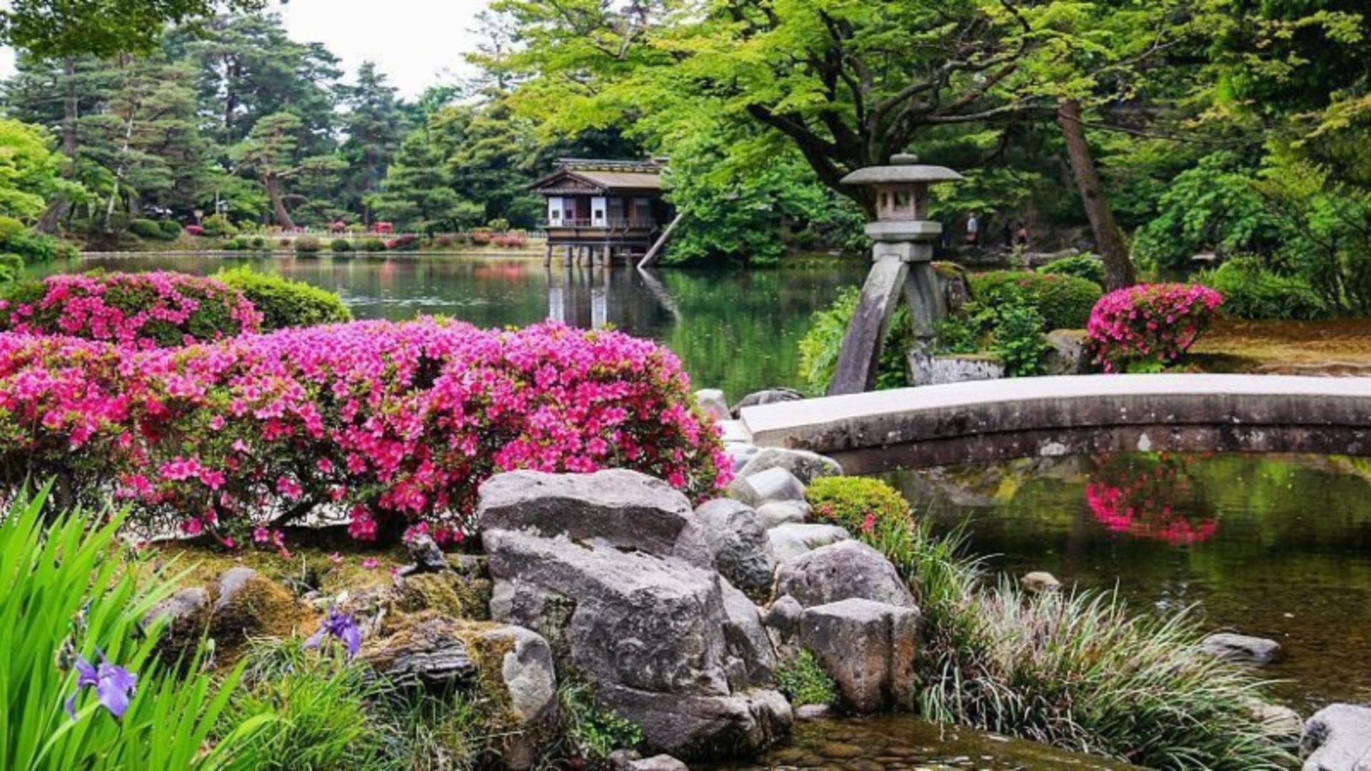 باغ کنروکوئن در فصل بهار؛ منبع عکس: سایت japan-guide.com. عکاس: نامشخص