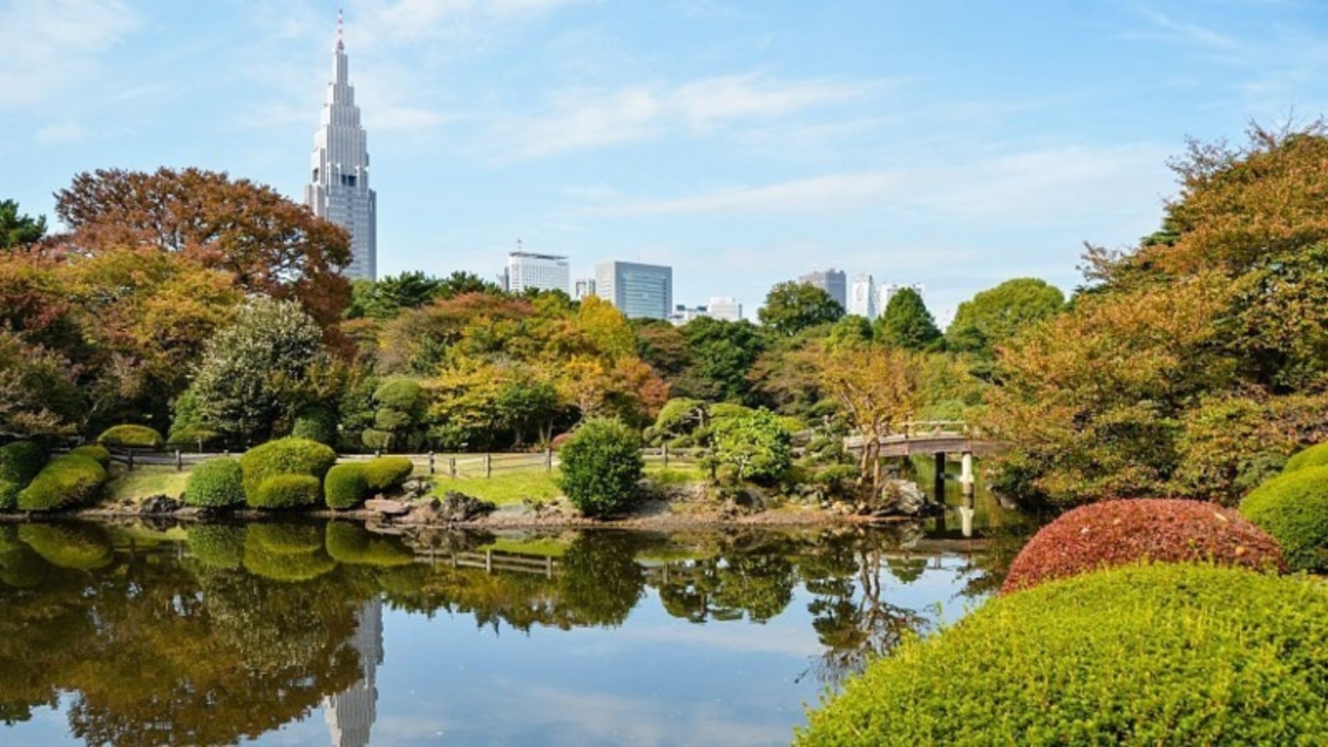 باغ ملی شینجوکو گیوئن؛ منبع عکس: سایت japan-guide.com. عکاس: نامشخص