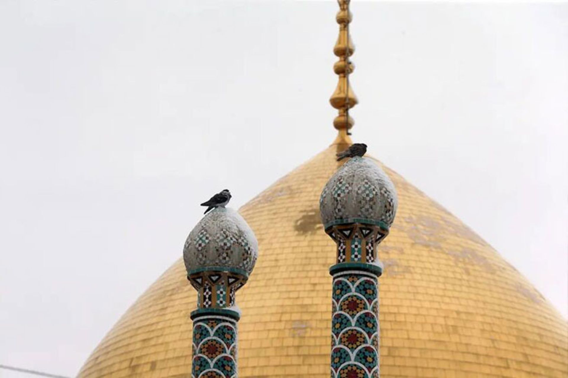 رپورتاژ سفر زیارتی از مشهد به قم؛ راهنمایی برای مسافران مذهبی