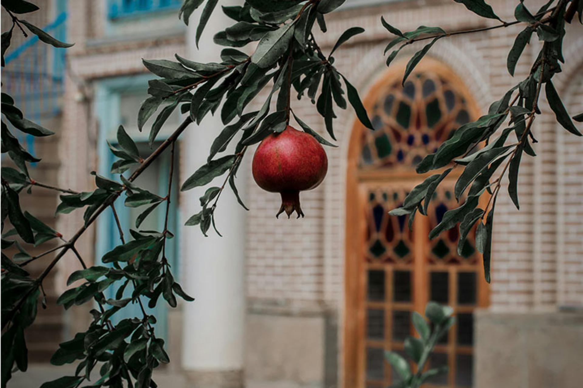 انار پاییزی در عمارت قدیمی، منبع عکس: unsplash.com، عکاس: محمد محمدپور