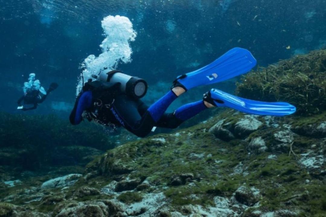 فین غواصی؛ منبع عکس: سایت scubadiving.com. عکاس: نامشخص