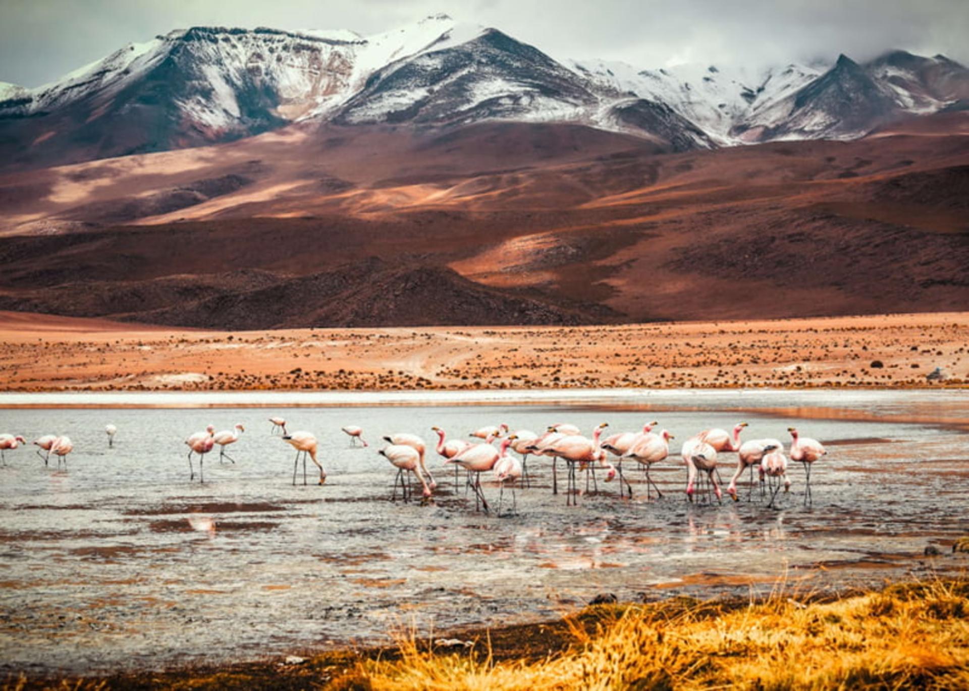 سالار دو ییونی (Salar de Uyuni)، بزرگترین کویر نمک دنیا در بولیوی