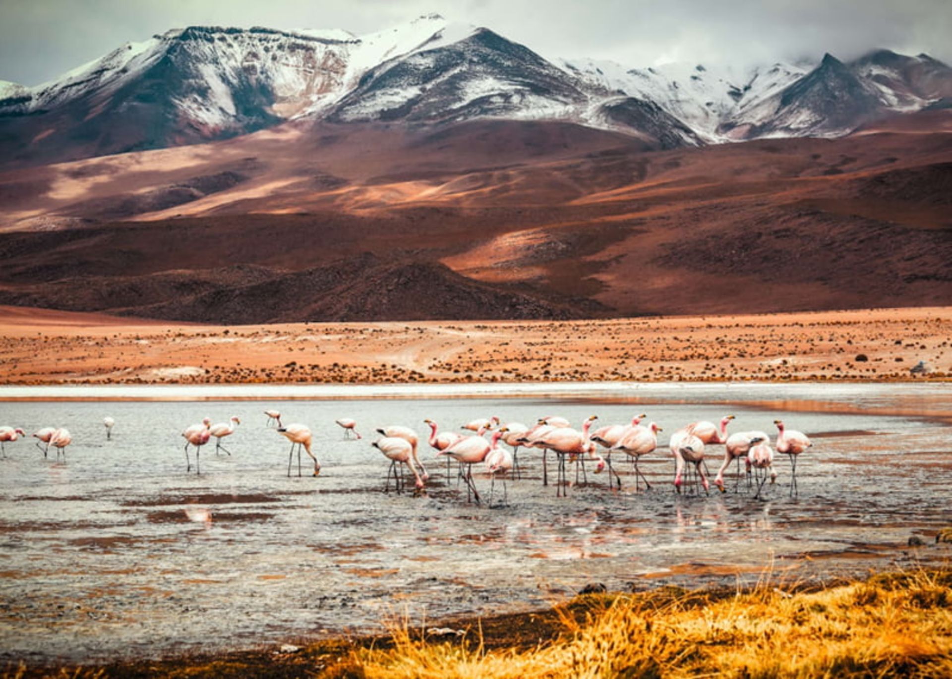 سالار دو ییونی (Salar de Uyuni)، بزرگترین کویر نمک دنیا در بولیوی