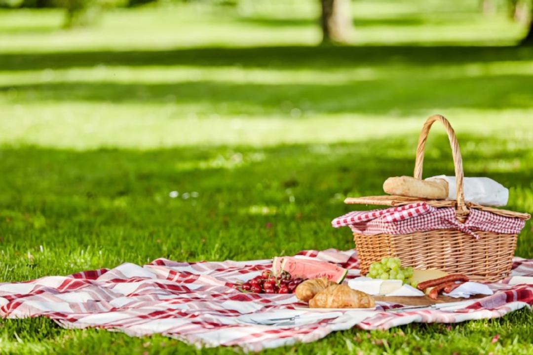 زیرانداز سفری پارچه ای. منبع: وب سایت mccormick.com؛ عکاس: نامشخص