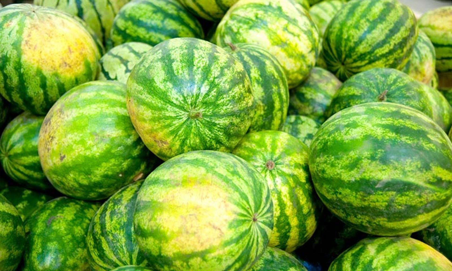 هندوانه های با لکه زرد پررنگ و کمرنگ؛ منبع عکس: watermelon.org؛ عکاس: نامشخص 