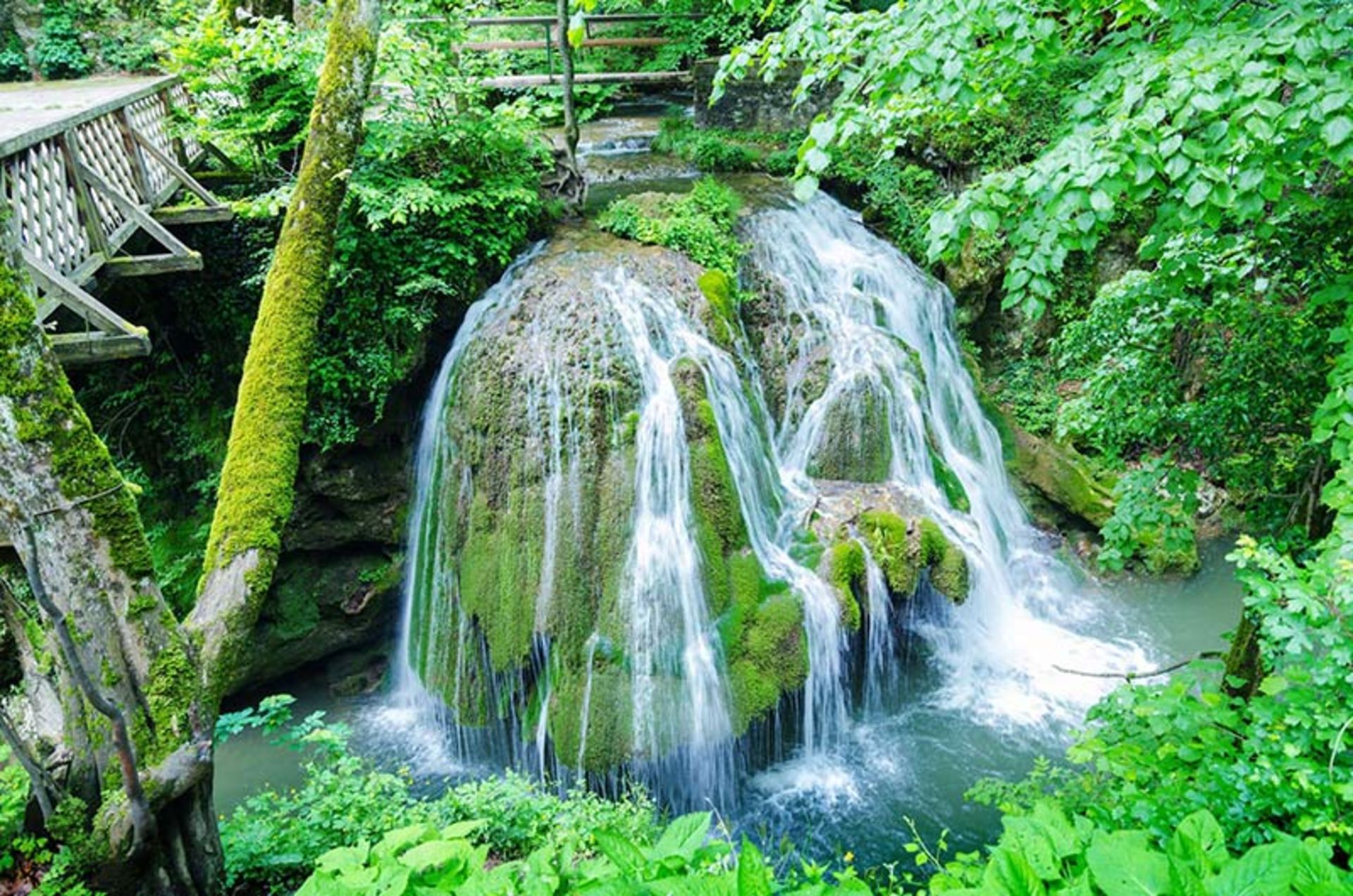 آبشار بیگار (‏Bigar Waterfall‏ ) در رومانی