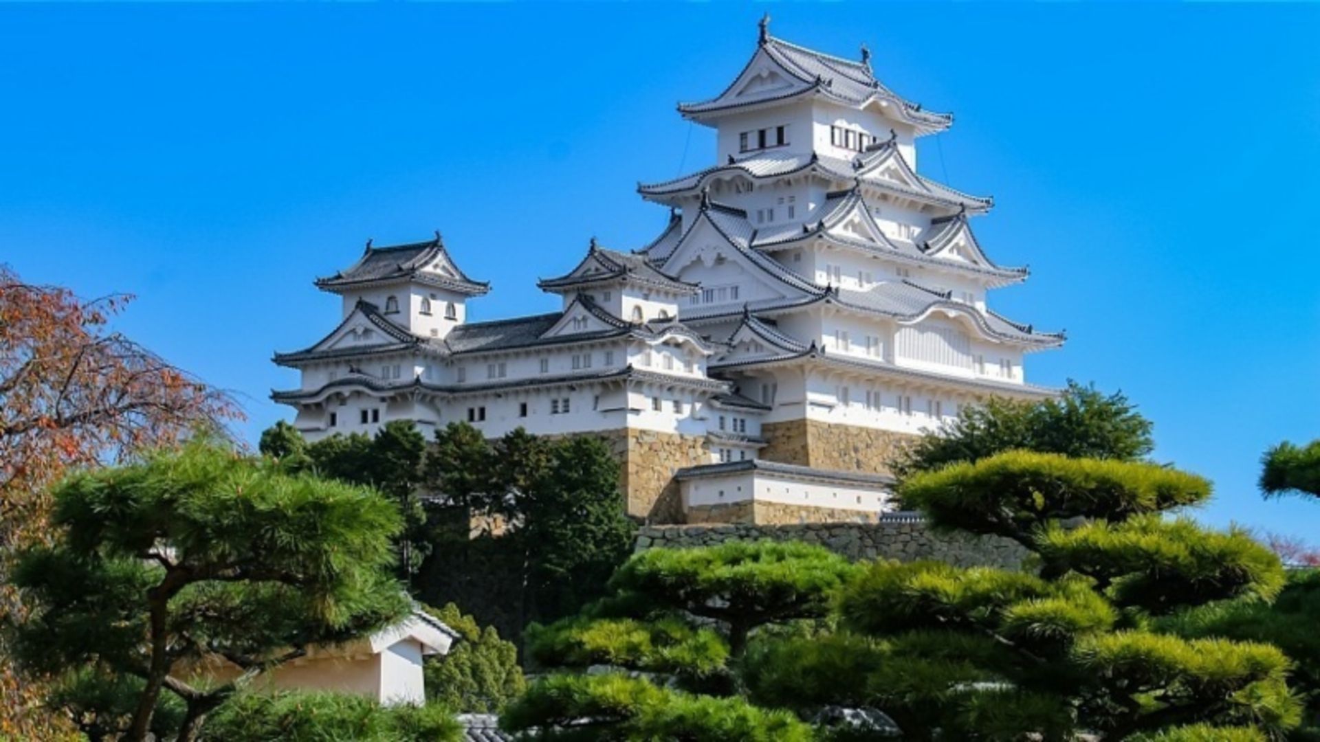 قلعه هیمجی در فضای سرسبز؛ منبع عکس: سایت japan-guide.com. عکاس: نامشخص