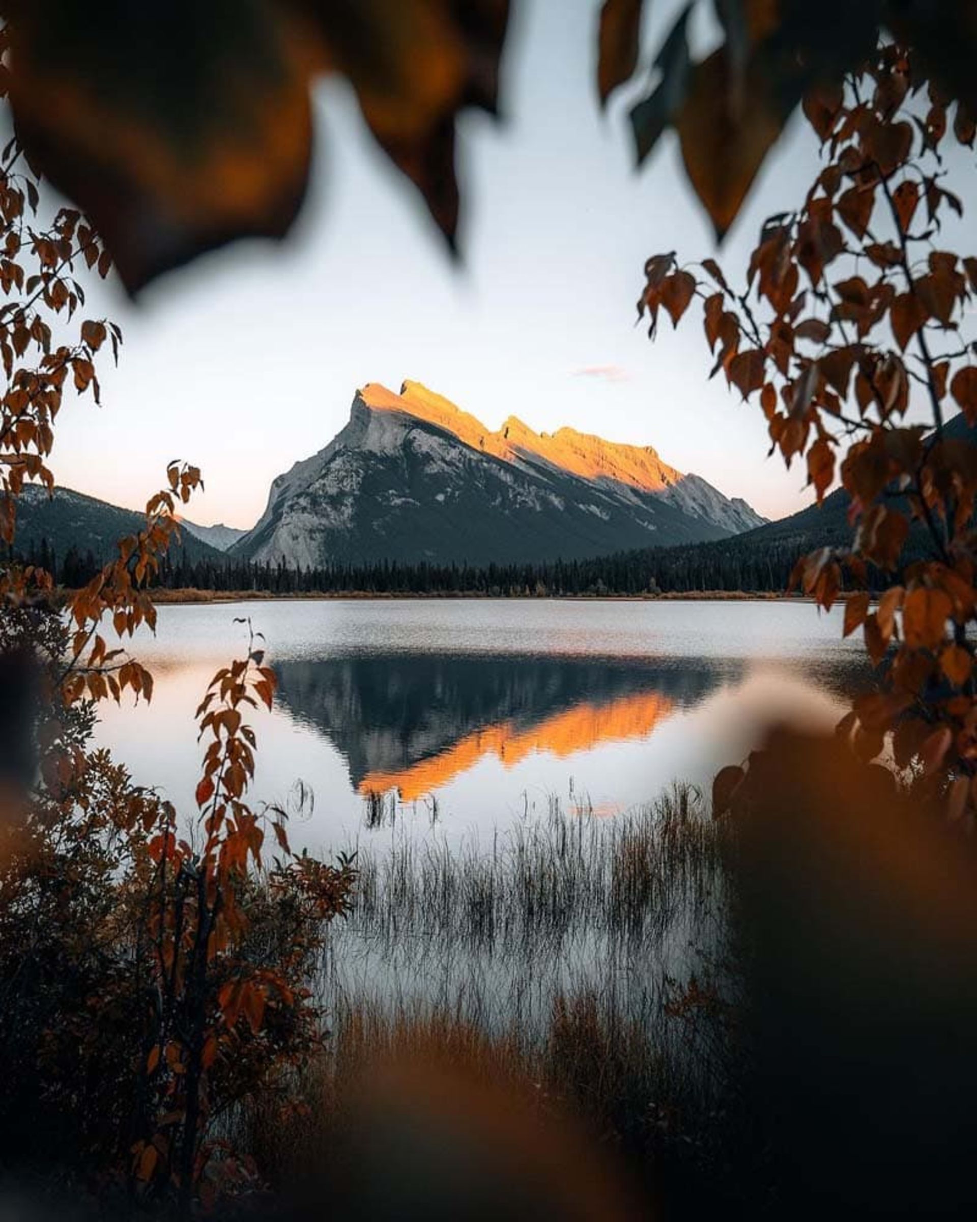 منظره‌ای از طبیعت پاییز در کوهستانی در آلبرتا (Alberta) کانادا